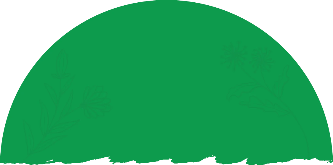 background shape